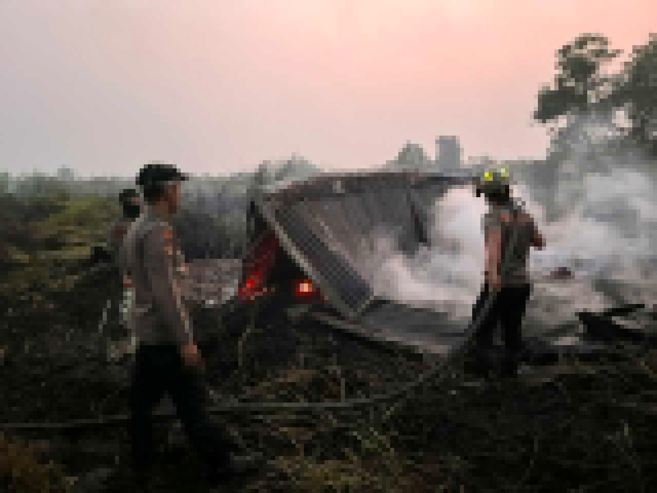 IMG-20260822-WA0017