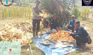 IMG-20260825-WA0197